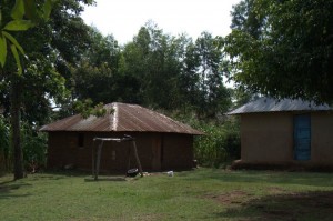 shianda 2